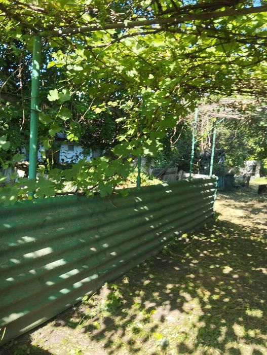 Будинок на Чернігівська область, Вікторівка, ID 423452, фото №4