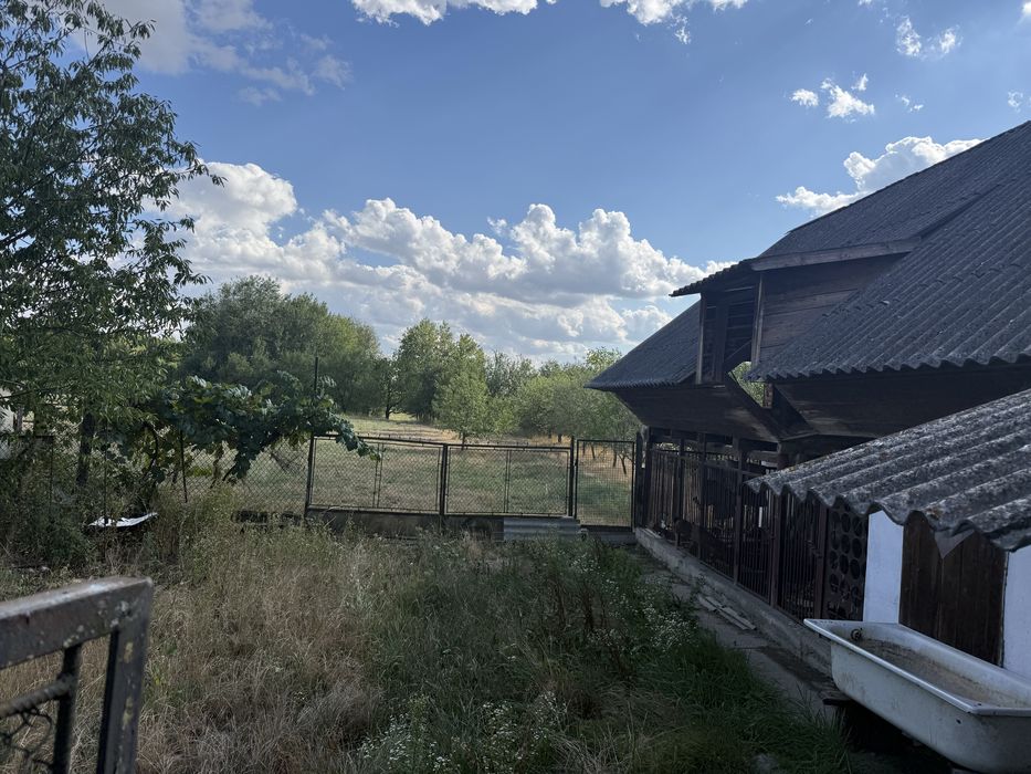 Будинок, Мочола у Закарпатській області, ID 423201, фото №7