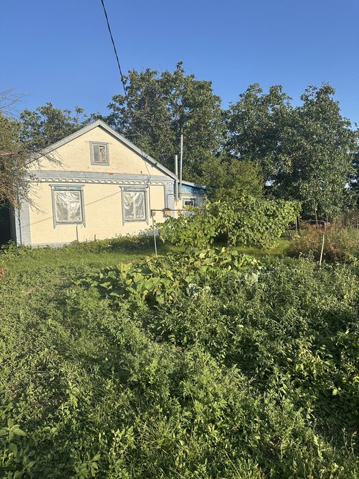 Будинок на Полтавська область, Миргородщина, ID 423066, фото №1