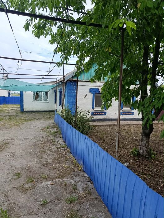 Будинок на Миколаївська область, Новий Буг, ID 423060, фото №3