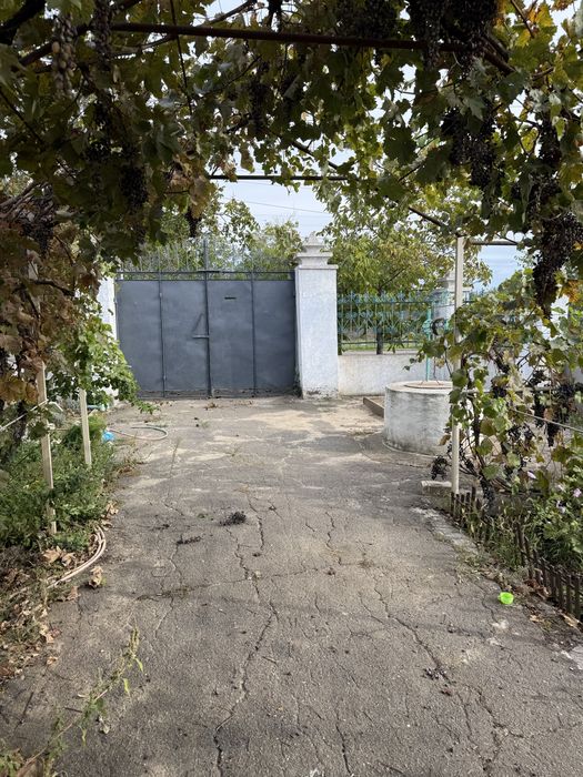 Будинок на Миколаївська область, Новобогданівка, ID 423055, фото №2