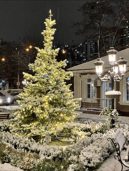 Квартира на вул. Михайла Максимовича, 24а в Києві, ID 437693, фото №6