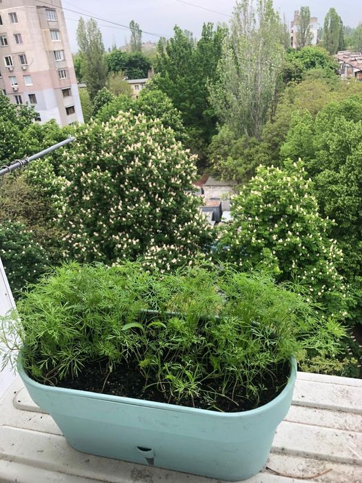 Квартира на вул. Генерала Петрова в Одесі, ID 385293, фото №12