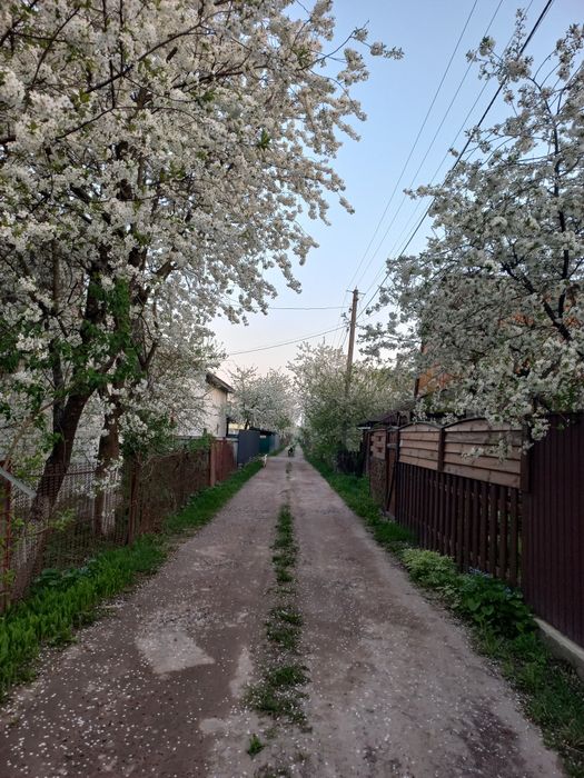 Будинок на Чернігівська область, Полуботки, ID 422884, фото №3
