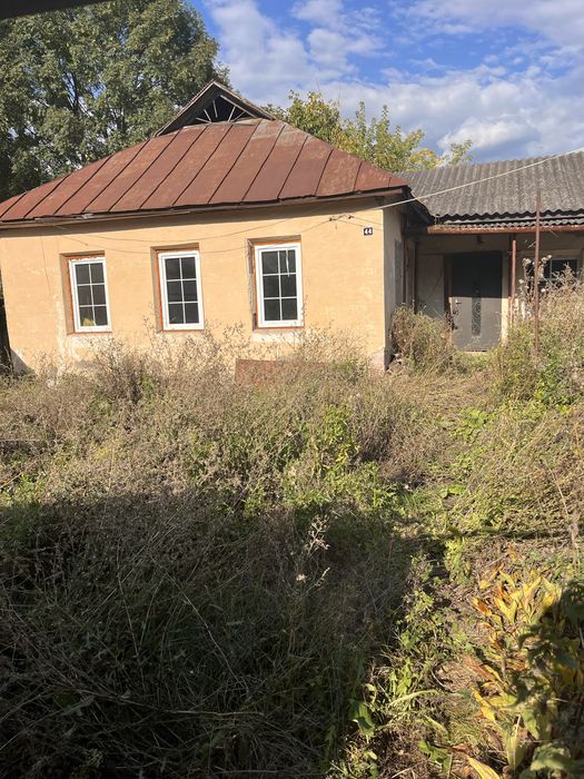 Будинок, Ріпки, вул. Святомиколаївська, 44 у Сумській області, ID 422874, фото №6