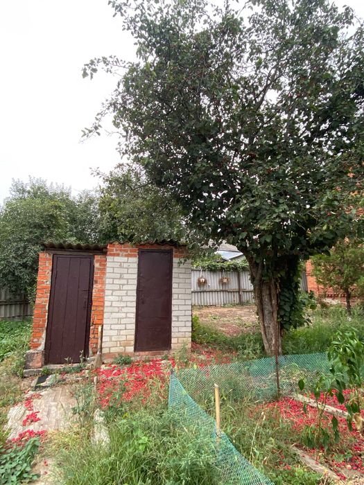 Будинок на Харківська область, Високий, ID 422887, фото №4
