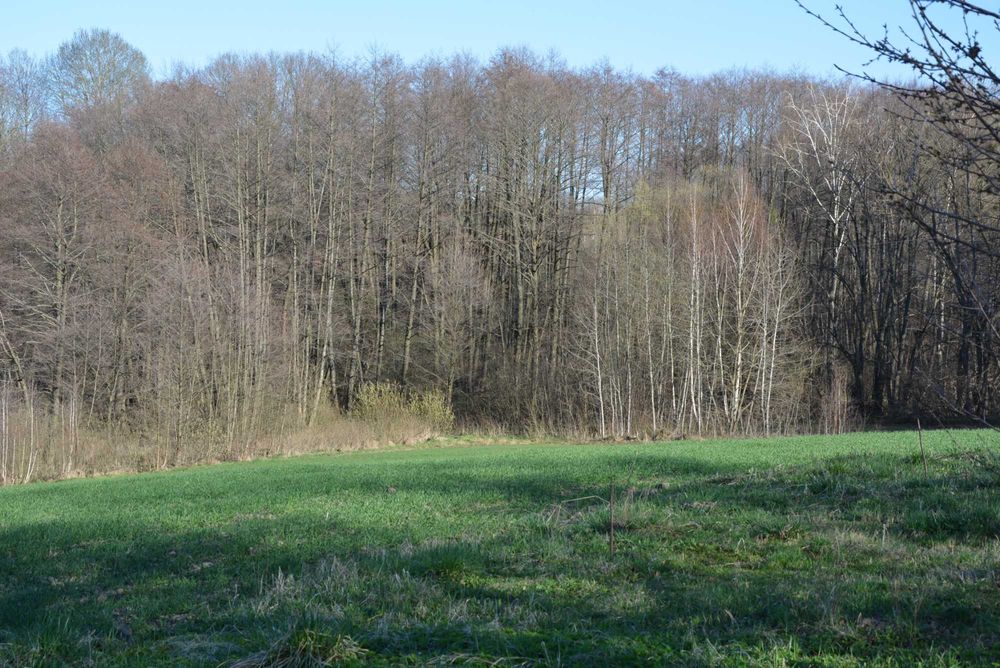 Будинок, Майдан-Вербецький у Хмельницькій області, ID 415608, фото №7