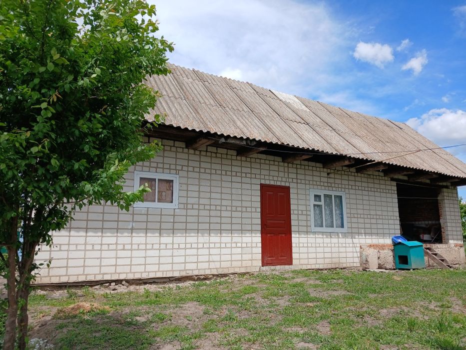 Будинок на Житомирська область, Андрушівка, ID 422727, фото №4