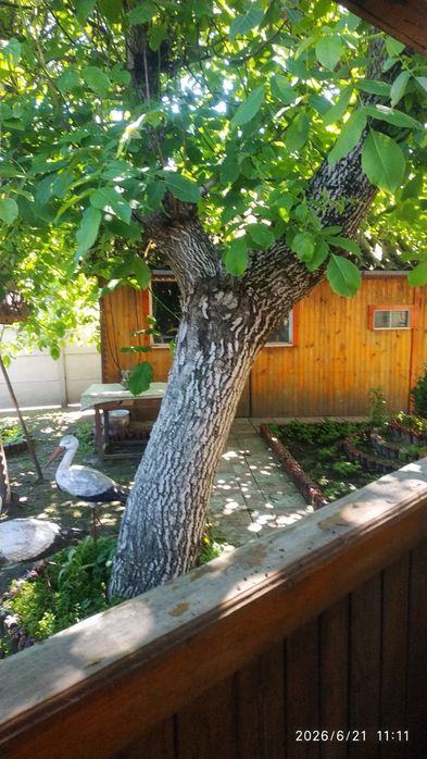 Будинок на Чернігівська область, Опеньки, ID 422714, фото №2