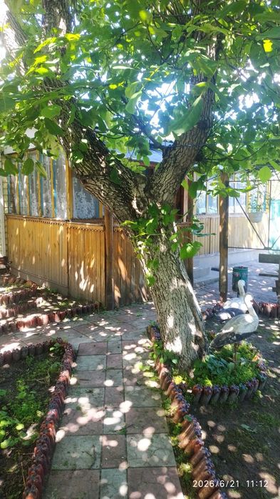Будинок, Опеньки у Чернігівській області, ID 422714, фото №6