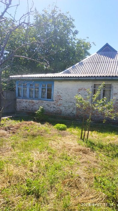 Будинок, Опеньки у Чернігівській області, ID 422714, фото №8