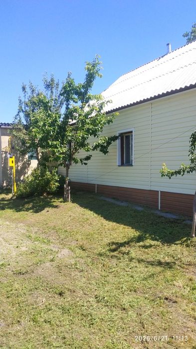 Будинок, Опеньки у Чернігівській області, ID 422714, фото №9
