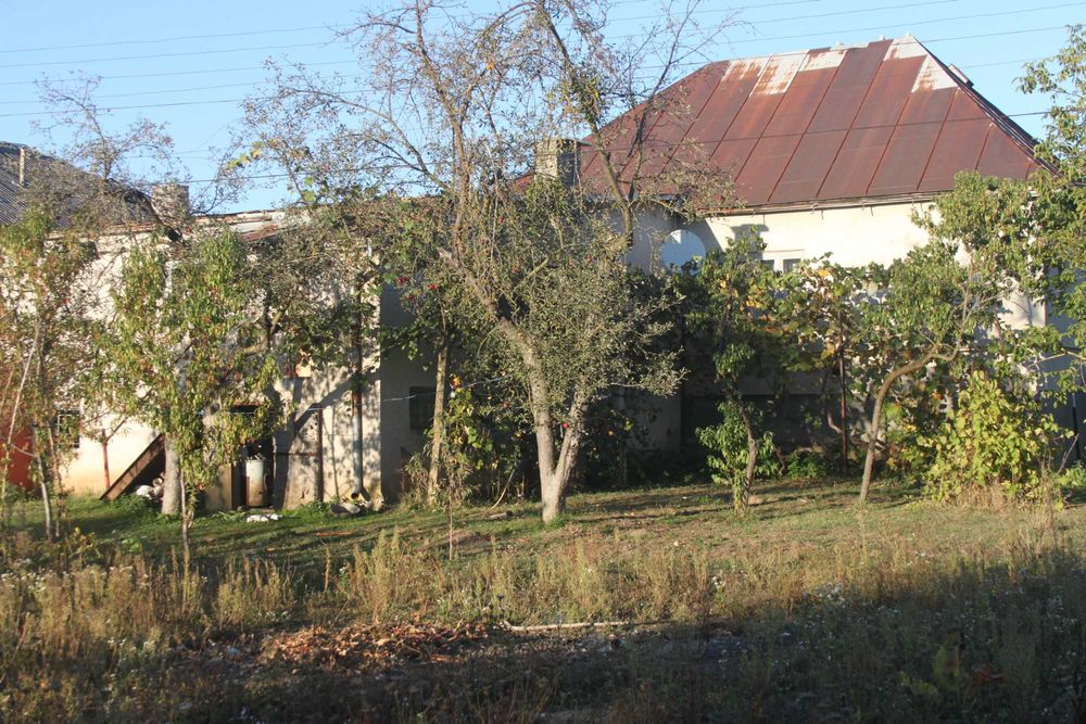 Будинок, Великий Раковець у Закарпатській області, ID 422721, фото №10