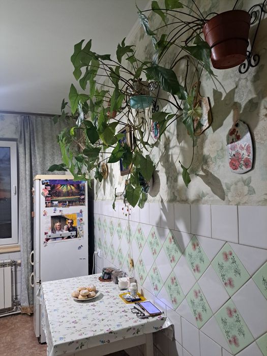Квартира — Ужгород в Ужгороді, ID 386520, фото №11