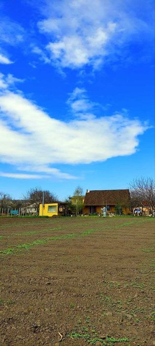 Будинок на Полтавська область, Максимівка, ID 422633, фото №2