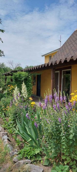 Будинок, Максимівка у Полтавській області, ID 422633, фото №6