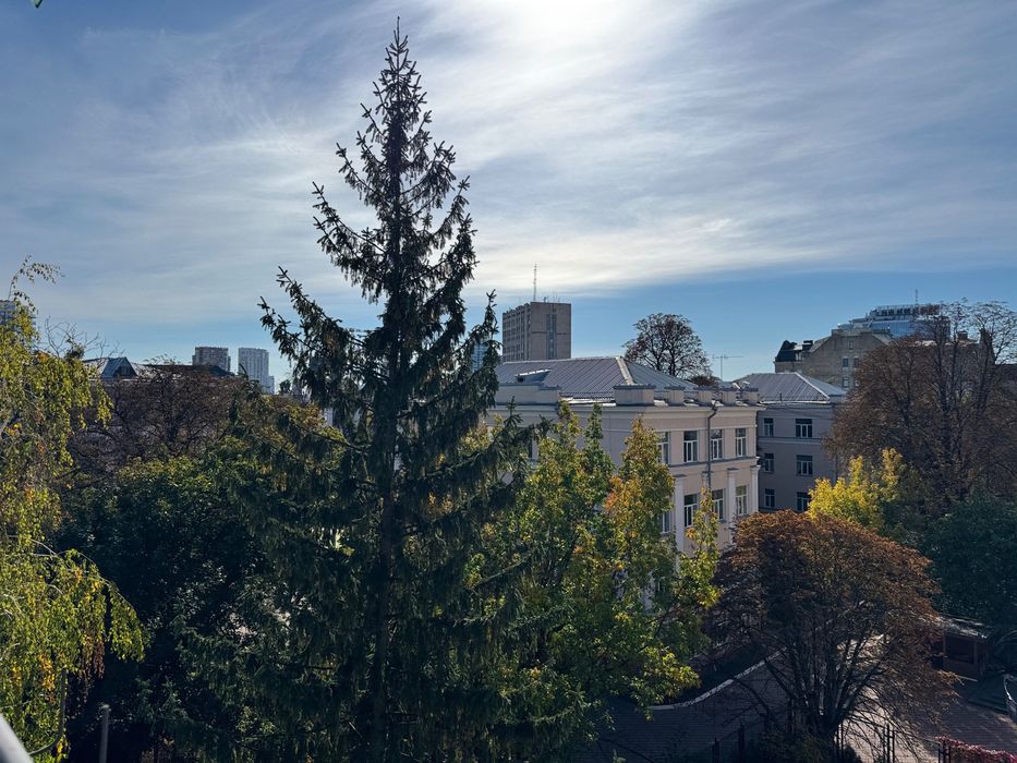 Квартира на вул. Шовковична, 21 в Києві, ID 387358, фото №16