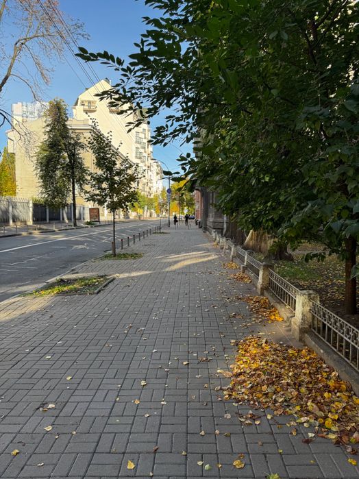 Квартира на вул. Шовковична, 21 в Києві, ID 387358, фото №22