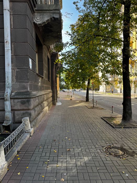 Квартира на вул. Шовковична, 21 в Києві, ID 387358, фото №23