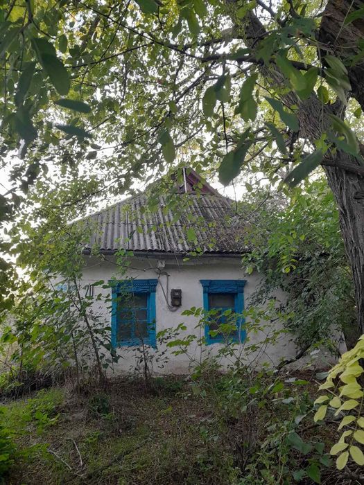 Будинок на Дніпропетровська область, Дніпровокам'янка, ID 421934, фото №2