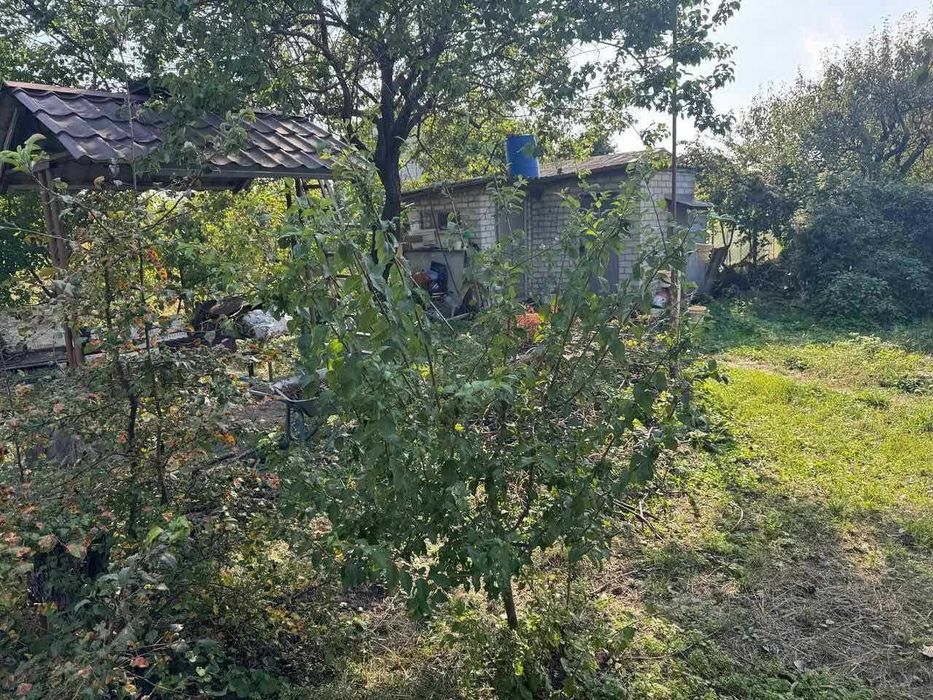 Будинок на Дніпропетровська область, Орільське, ID 421931, фото №5