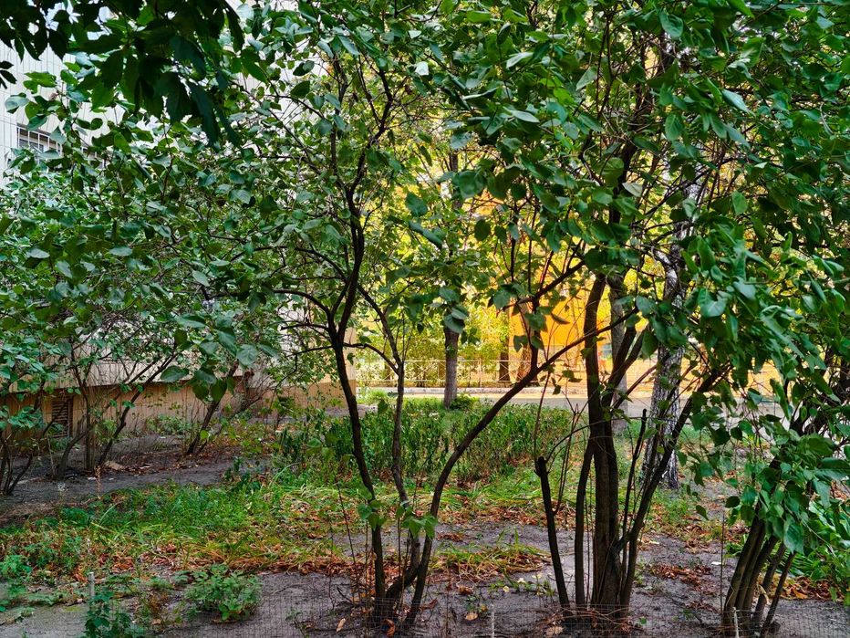 Квартира на вул. Левка Лук'яненка, 2Л в Києві, ID 395394, фото №23