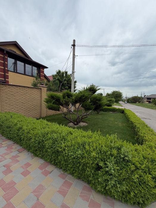 Будинок на Запорізька область, Сонячне, ID 421698, фото №3