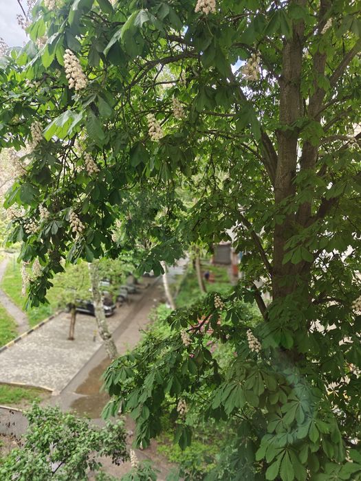 Квартира на вул. Паркова в Одесі, ID 396348, фото №8