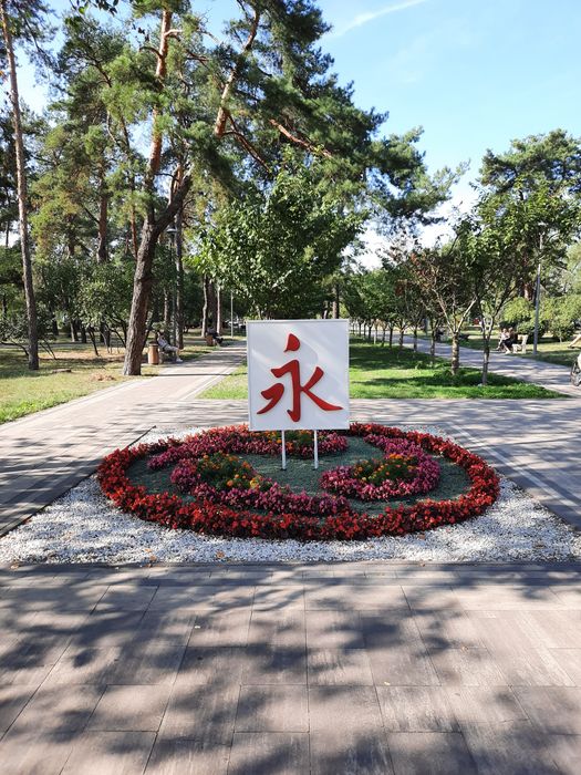Квартира на вул. Кубанської України, 25/21 в Києві, ID 396572, фото №16