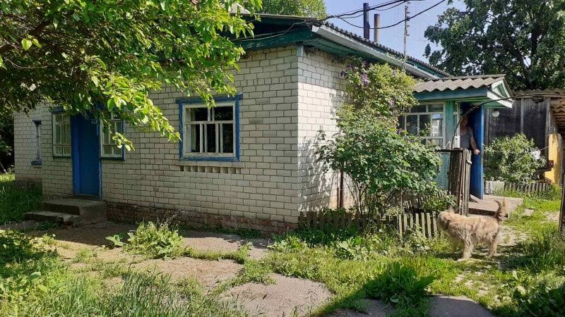 Будинок на Чернігівська область, Орлівка, ID 415460, фото №1