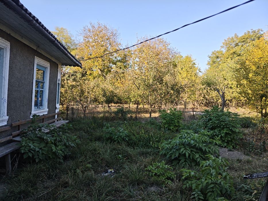 Будинок, Олешин у Хмельницькій області, ID 421245, фото №6