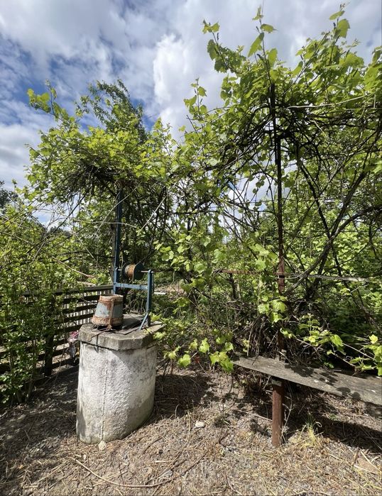 Будинок, Половинники у Хмельницькій області, ID 421247, фото №8