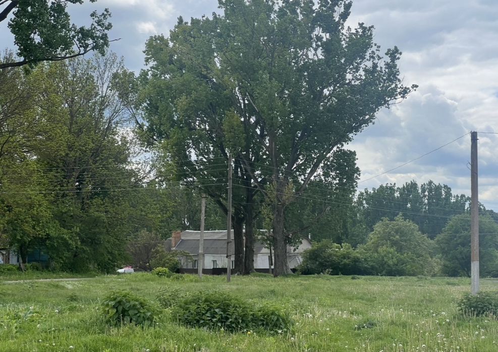 Будинок, Половинники у Хмельницькій області, ID 421247, фото №10