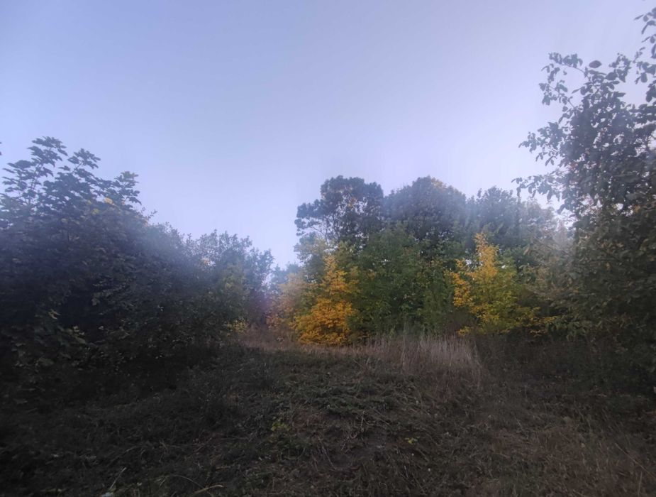 Будинок, Городок у Хмельницькій області, ID 421252, фото №7