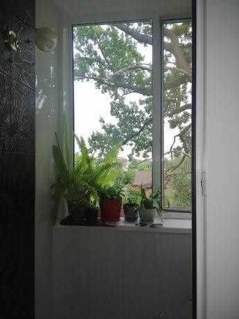 Квартира на вул. Кленова в Києві, ID 398927, фото №11