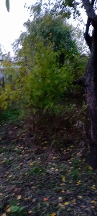 Будинок на Полтавська область, Кременчук, ID 415426, фото №2