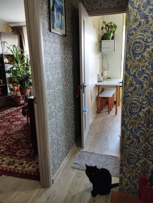Квартира на вул. Липова, 18 в Дніпрі, ID 401335, фото №7