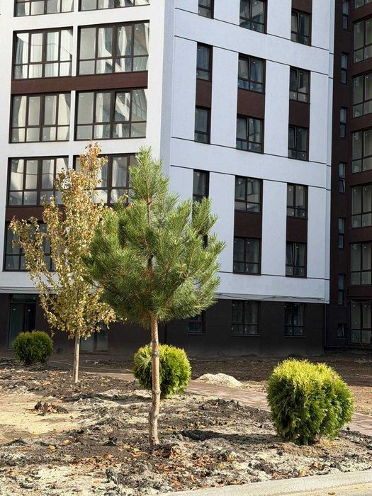 Квартира — Івано-Франківськ в Івано-Франківську, ID 402885, фото №2