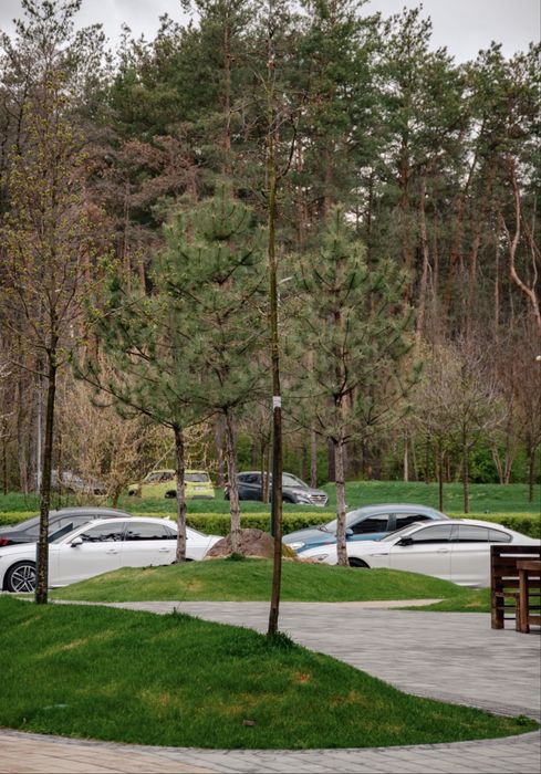 Квартира на ЖК «Молодість» в Києві, ID 402613, фото №10