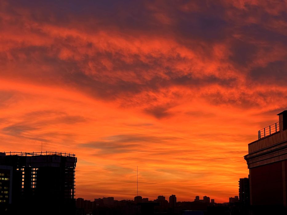 Квартира на вул. Золотоустівська, 34 в Києві, ID 401713, фото №10