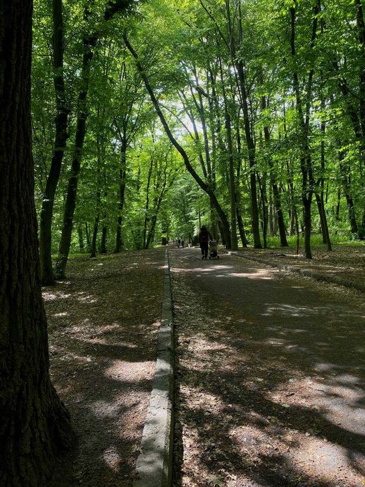 Квартира на вул. Сікорського, 4Д в Києві, ID 408742, фото №14