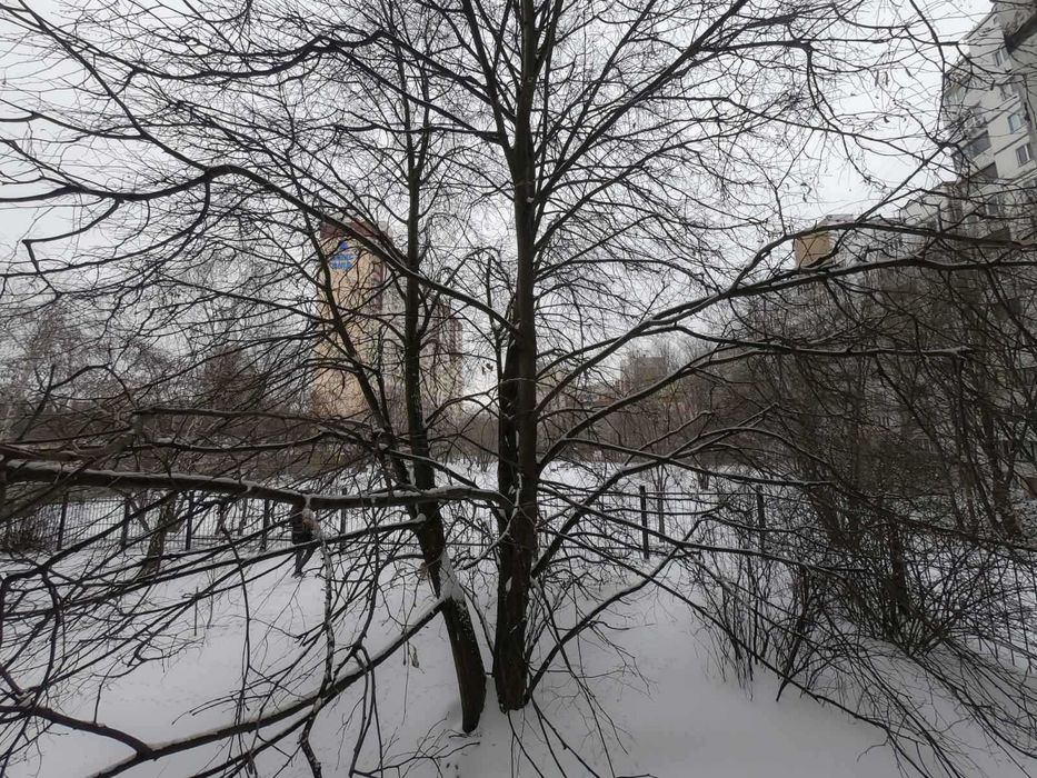 Квартира на вул. Гетьмана, 46А в Києві, ID 408807, фото №12