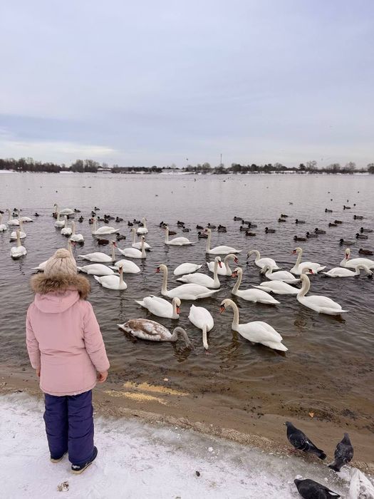 Квартира на вул. Прирічна, 31 в Києві, ID 408969, фото №22