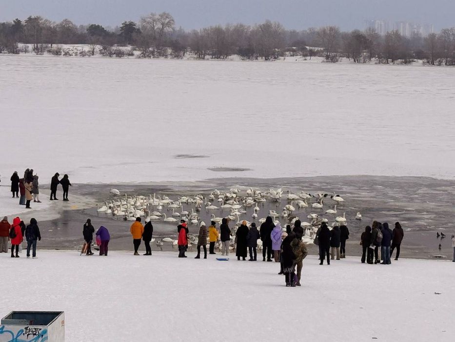 Квартира на вул. Прирічна, 31 в Києві, ID 408969, фото №23