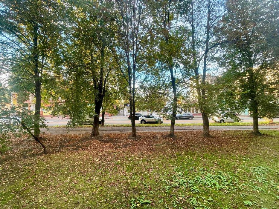 Квартира на вул. Валерія Гудзя, 18 в Києві, ID 409861, фото №10