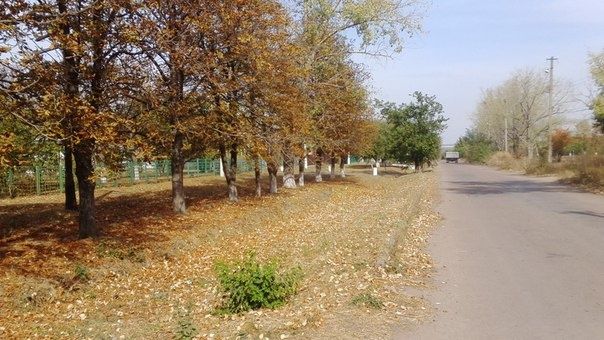 Будинок, Нова Прага у Кіровоградській області, ID 415210, фото №9