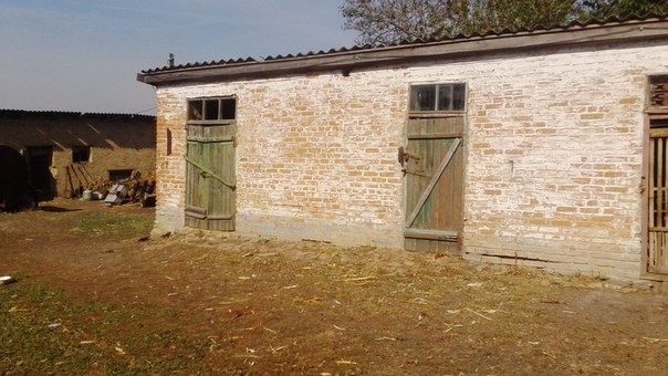 Будинок, Нова Прага у Кіровоградській області, ID 415210, фото №10