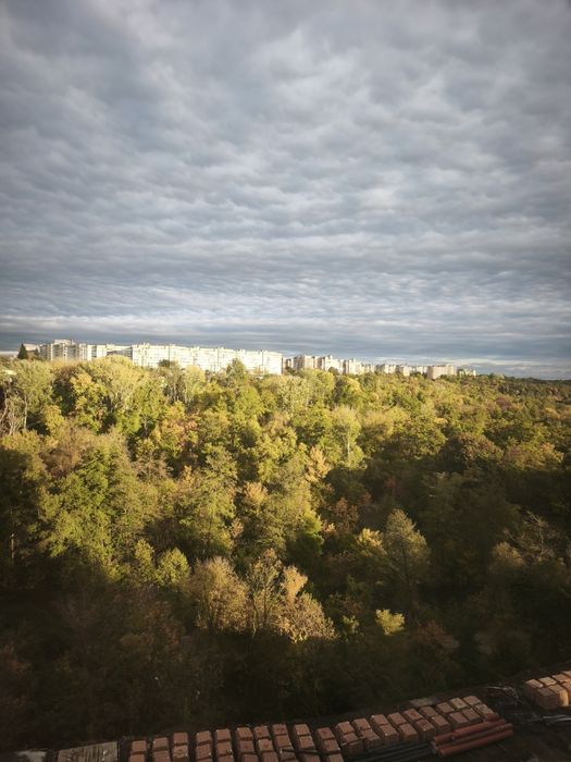 Квартира — Житомир в Житомирі, ID 410340, фото №5