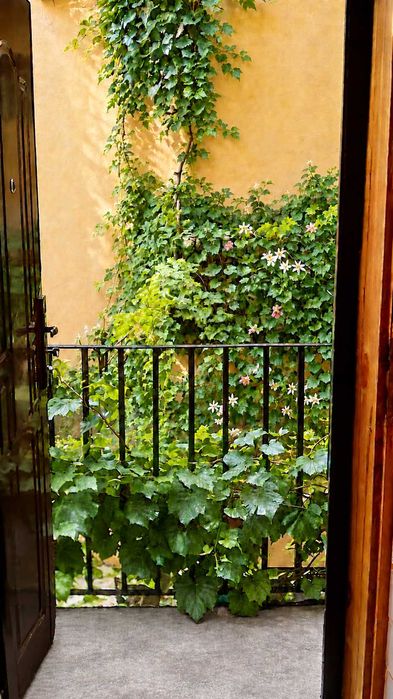 Квартира на вул. Котляревського, 5 в Львові, ID 410787, фото №6