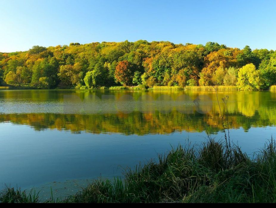 Квартира на вул. Самійла Кішки, 5А в Києві, ID 411329, фото №13